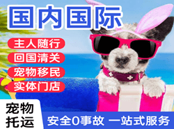 长海空运公司国际宠物托运 【国